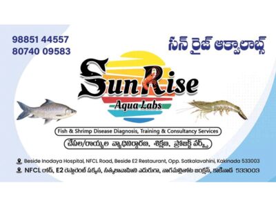 Expert Care for Healthy Fish & Shrimp Farming