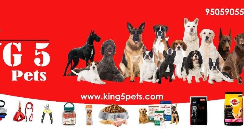 King 5 Pets