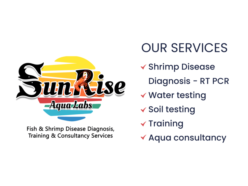 Expert Care for Healthy Fish & Shrimp Farming