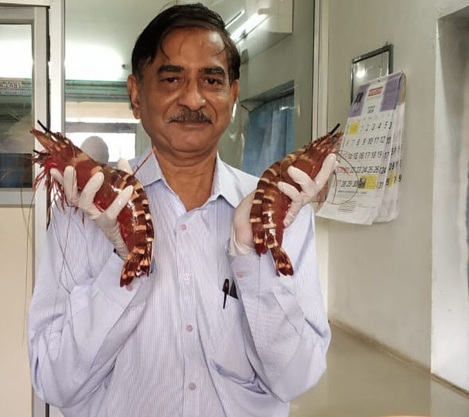 Expert Care for Healthy Fish & Shrimp Farming