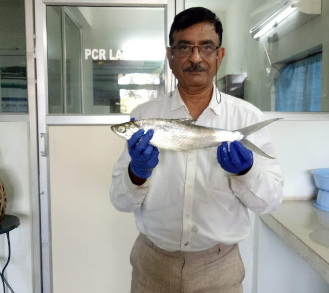 Expert Care for Healthy Fish & Shrimp Farming
