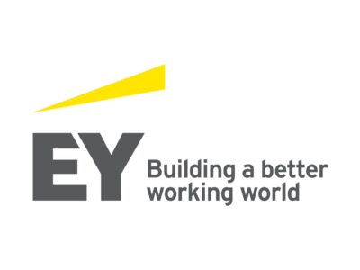 Low Code - No Code Developer