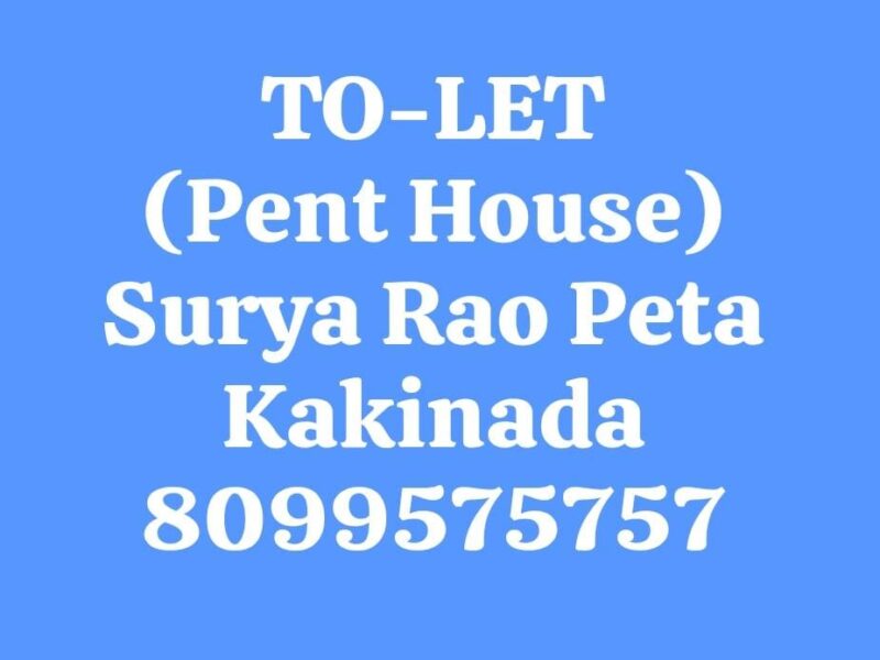 Pent House for Bachelors