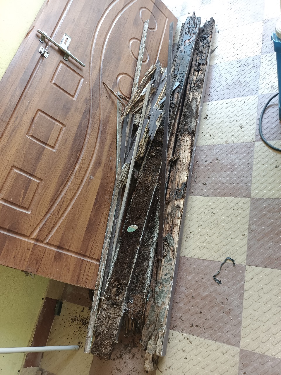 Pest control services