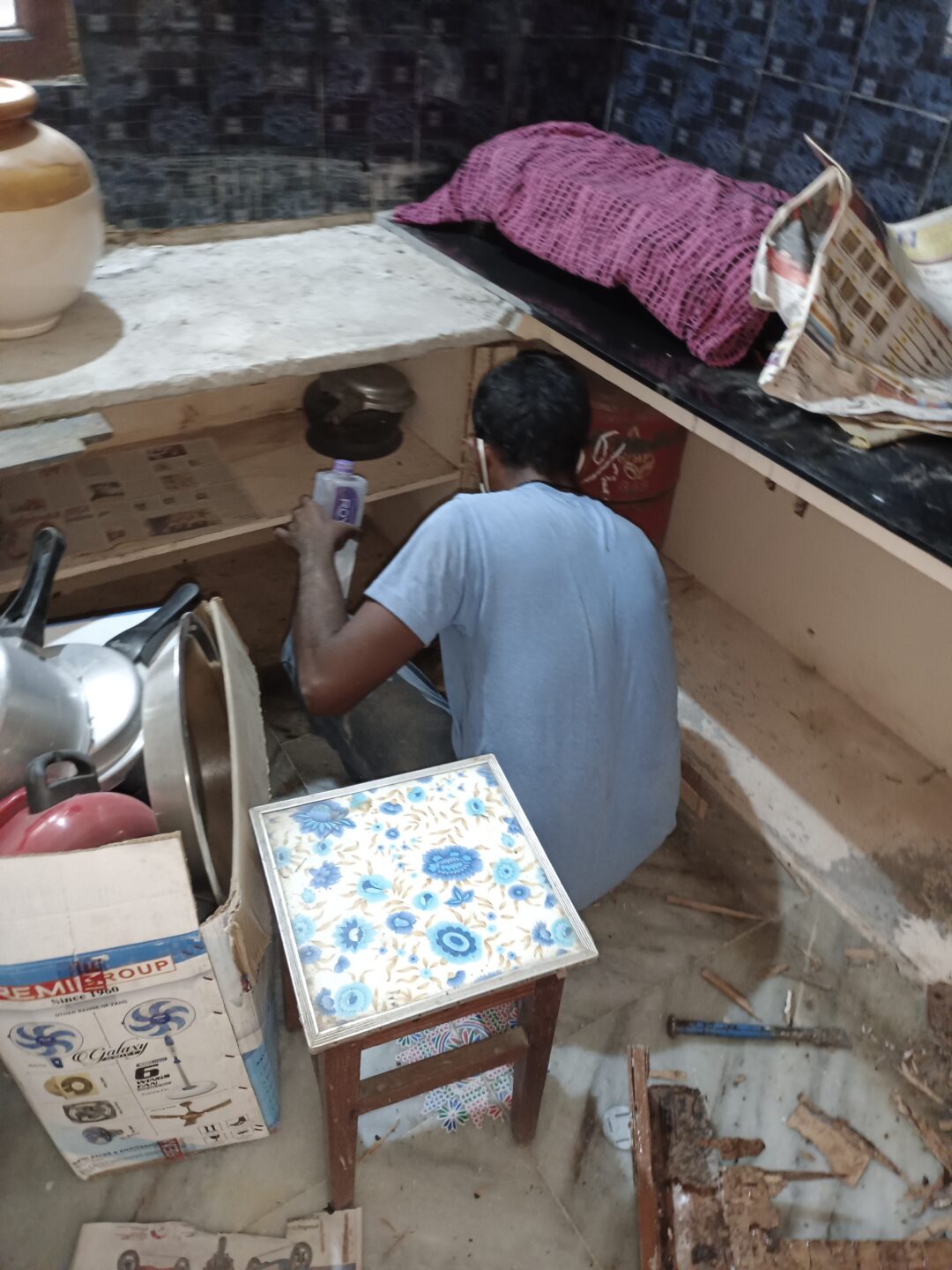 Pest control services