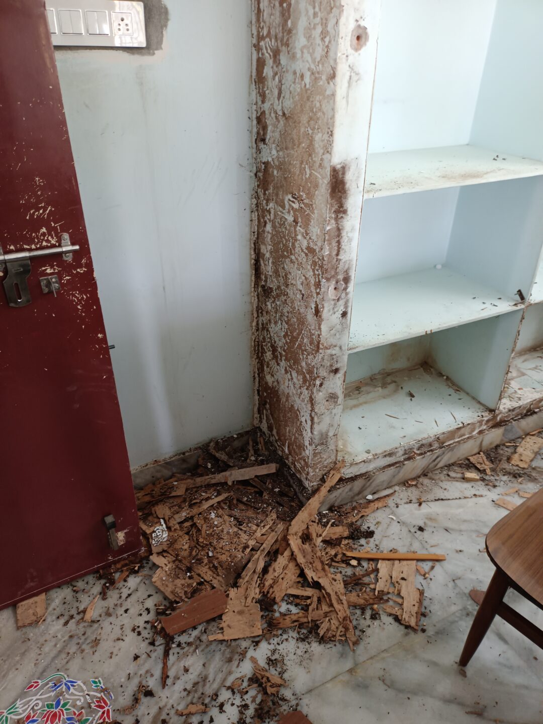 Pest control services