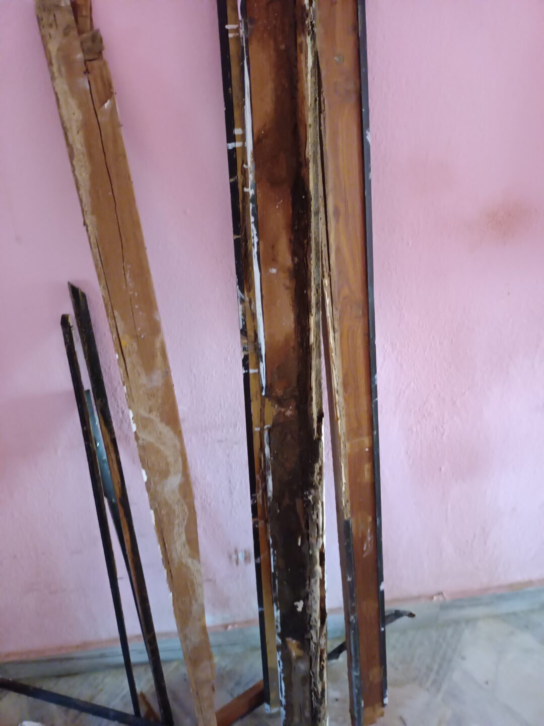 Pest control services