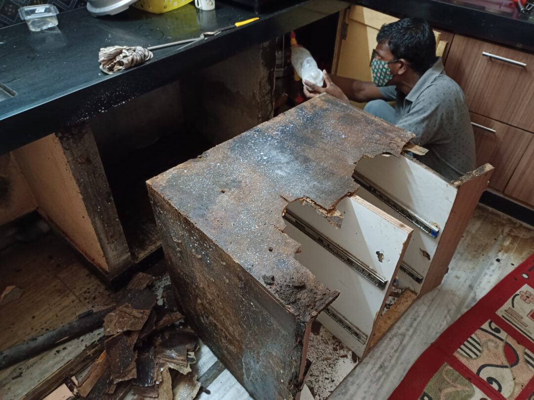 Pest control services