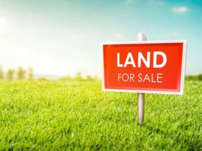 Gollala Mamidada (site for sale) in Gandredu