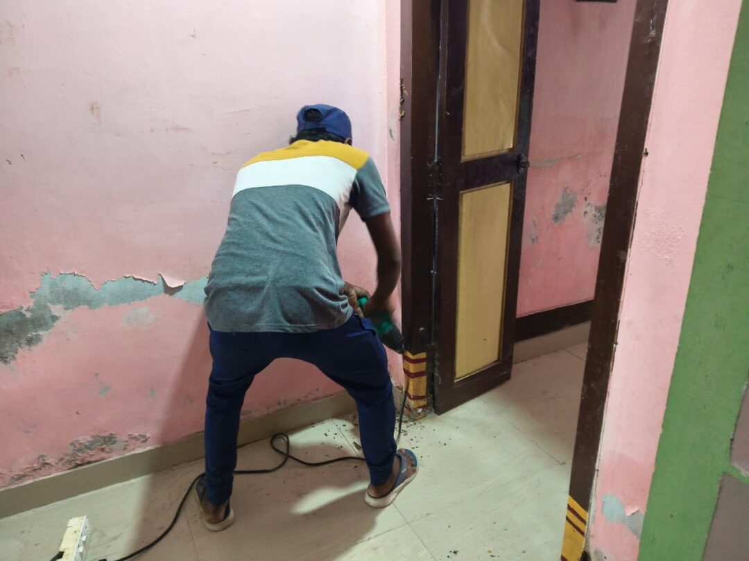Pest control services