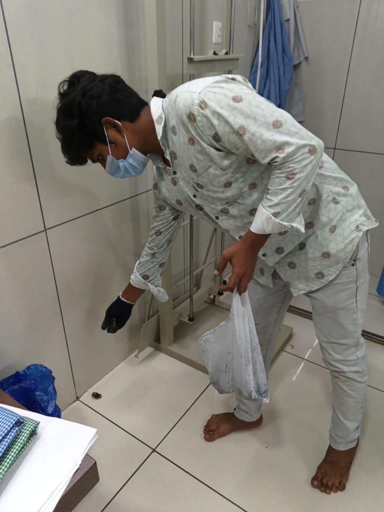 Pest control services