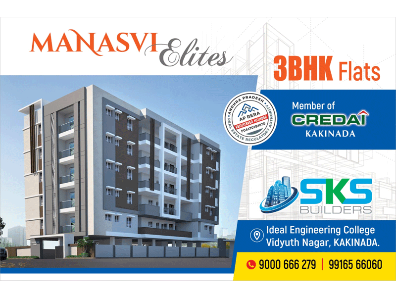 MANASVI ELITES