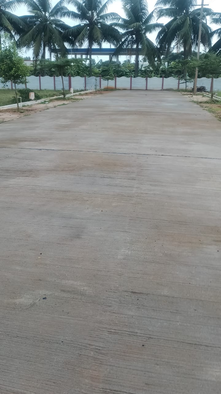 Chitrada