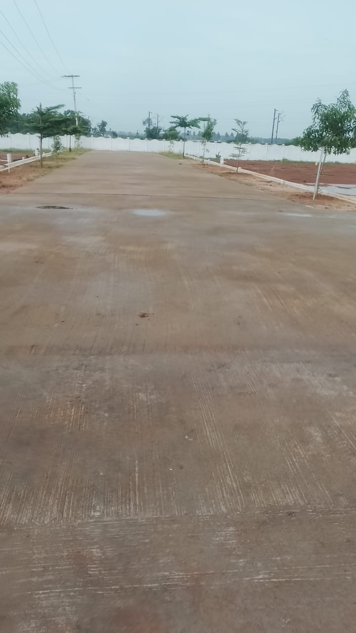 Chitrada