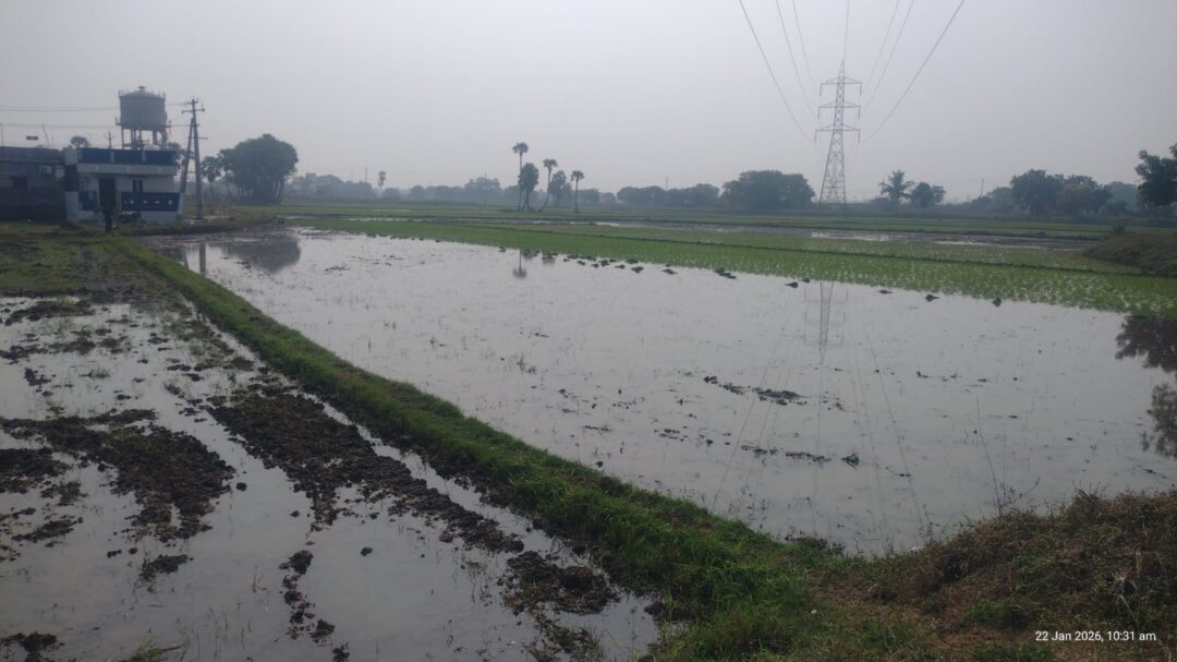 Agricultural Land for Sale in Thimmapuram – Jagananna Layout Area