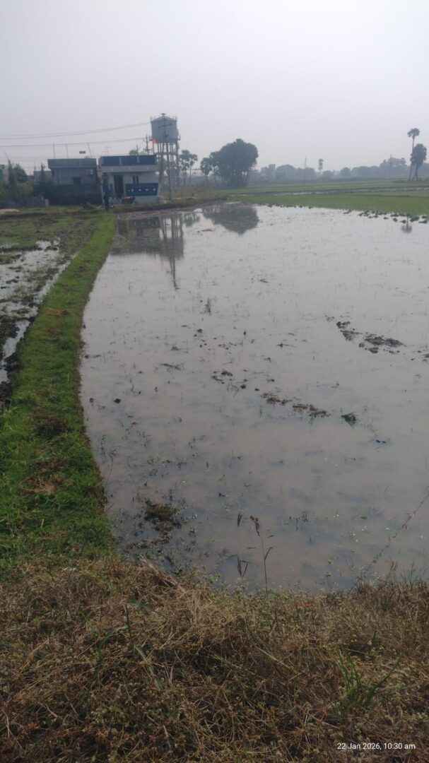 Agricultural Land for Sale in Thimmapuram – Jagananna Layout Area