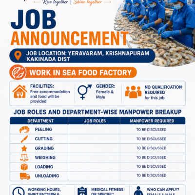 Seafood Processing Factory Jobs in Kakinada | Free Food & Accommodation | Veensun Workforce Solutions