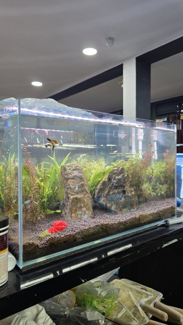 Kishore Pet Zone
