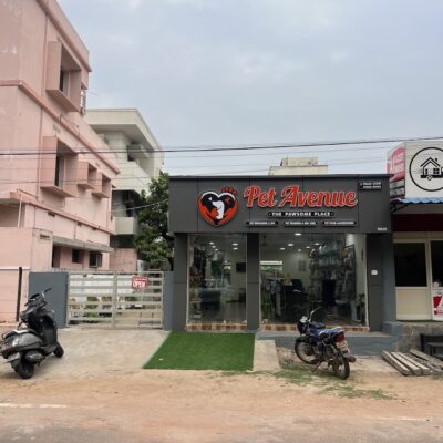 Pet Avenue (The Pawsome Place)