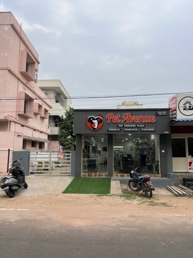 Pet Avenue (The Pawsome Place)